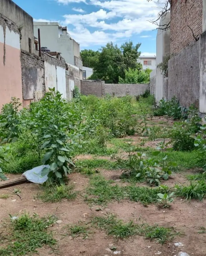 Roseti 2055 en obra: el terreno